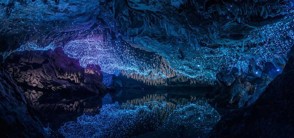 Glowworm-lit cave ceiling in New Zealand resembling a starry sky